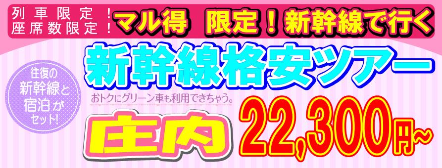 �����@�V�����i���p�b�N